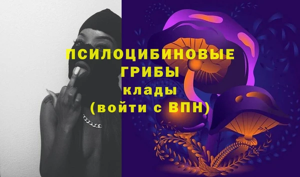 гашик Бородино