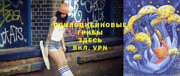 амф Верея