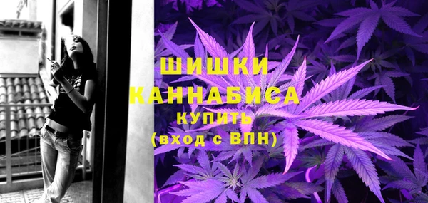 амф Верея