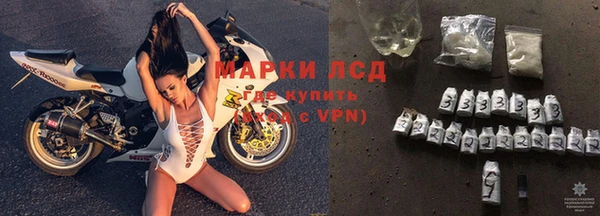 амф Верея