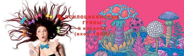гидра Верхнеуральск