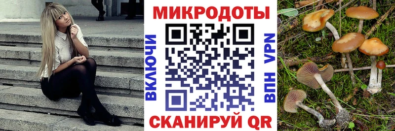 Купить закладки  Мамадыш  Псилоцибиновые грибы GOLDEN TEACHER 
